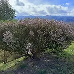 Country house La Casa De Nuria *