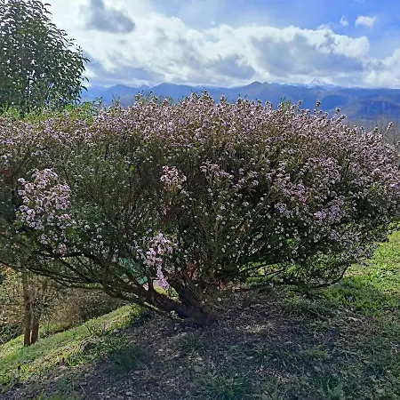 Casa di campagna La Casa De Nuria *