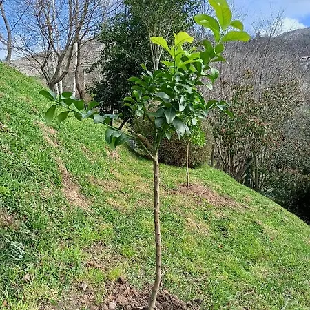 La Casa De Nuria Kır Evi Onís
